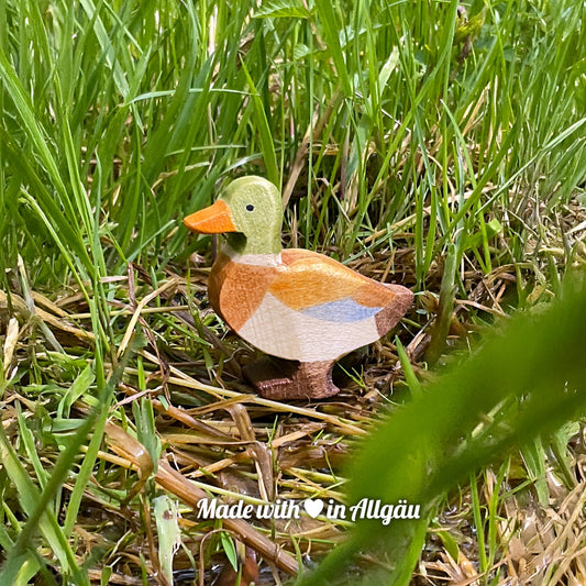 Handgefertigte Ente Erpel von Allgäuer Holztiere, grün, orange hellbraun, dunkelbraun und blau bemalt mit pflanzlichen Farben, stehend in natürlicher Umgebung am Wasser oder Ufer, aus bayerischem Ahornholz gefertigt, nachhaltig produziert im Allgäu und für Kinder ab 3 Jahren geeignet.