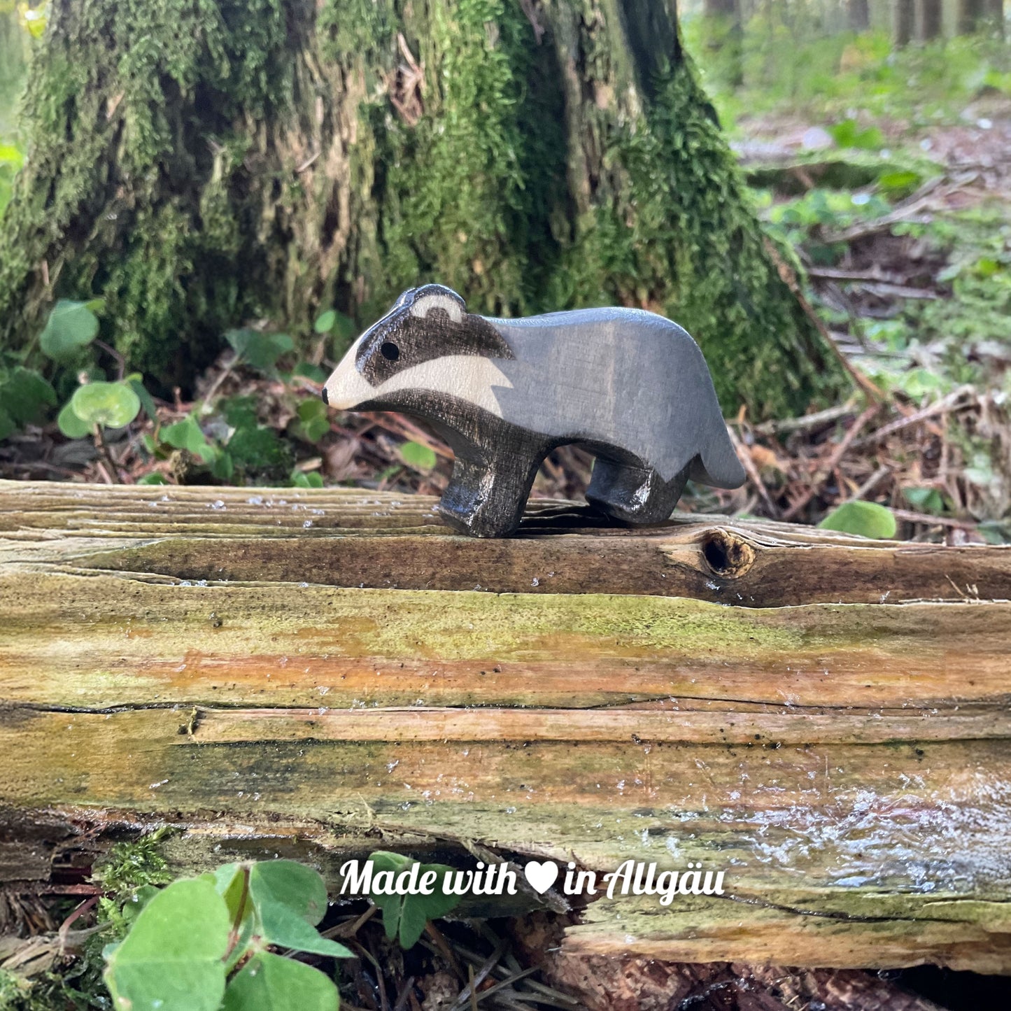 Handgefertigtes Holzspielzeug Dachs-Baby grau stehend von Allgäuer Holztiere, auf bemoostem, verwittertem Holz in natürlicher Waldlandschaft platziert, aus bayerischem Ahornholz gefertigt, grau und schwarz mit pflanzlichen Farben bemalt, nachhaltig im Allgäu produziert und für Kinder ab 3 Jahren geeignet.