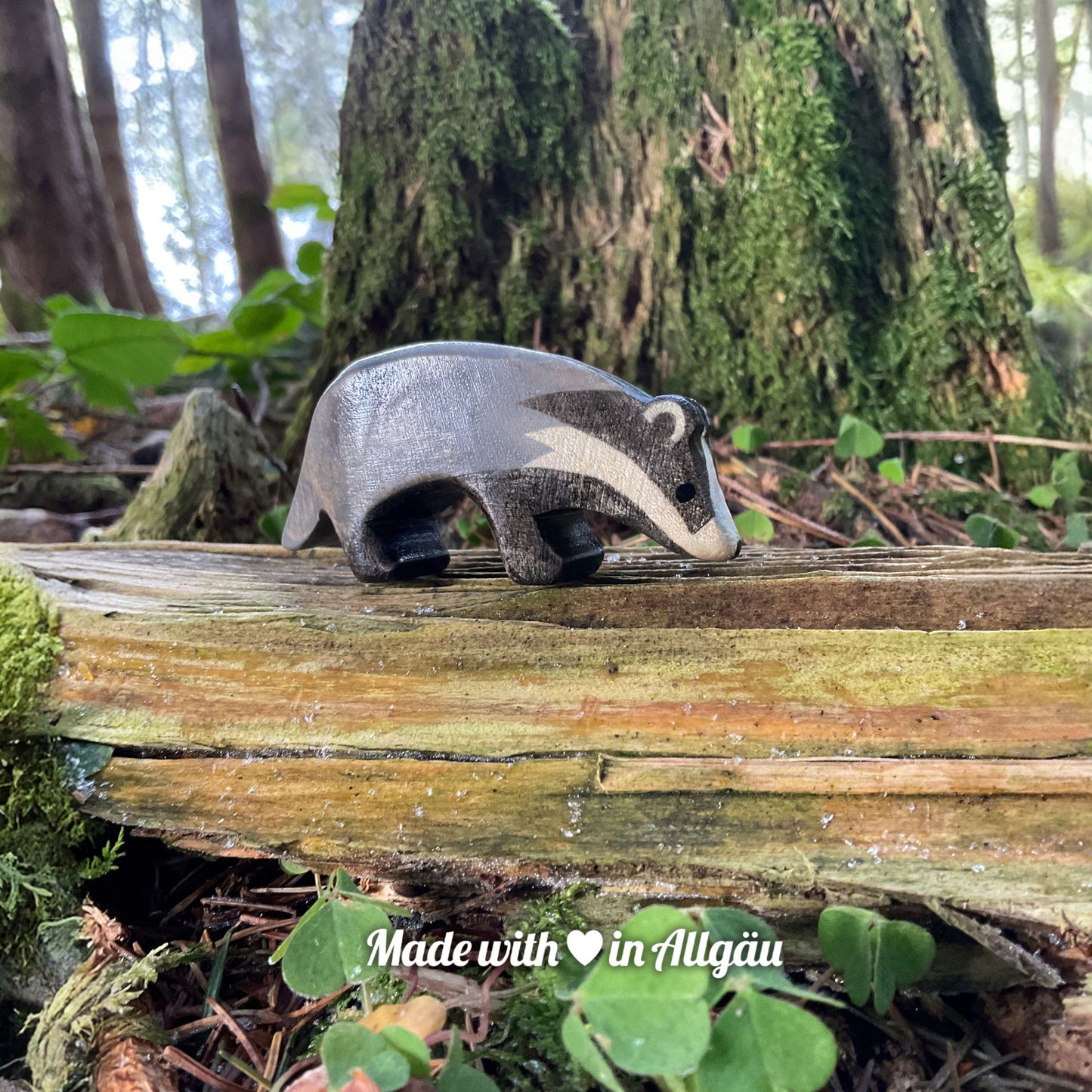 Handgefertigtes Holzspielzeug Dachs-Baby grau schnüffelnd von Allgäuer Holztiere, stehend auf bemoostem, verwittertem Holz in einem natürlichen Waldumfeld, aus bayerischem Ahornholz gefertigt, grau und schwarz bemalt mit pflanzlichen Farben, nachhaltig produziert im Allgäu und für Kinder ab 3 Jahren geeignet.