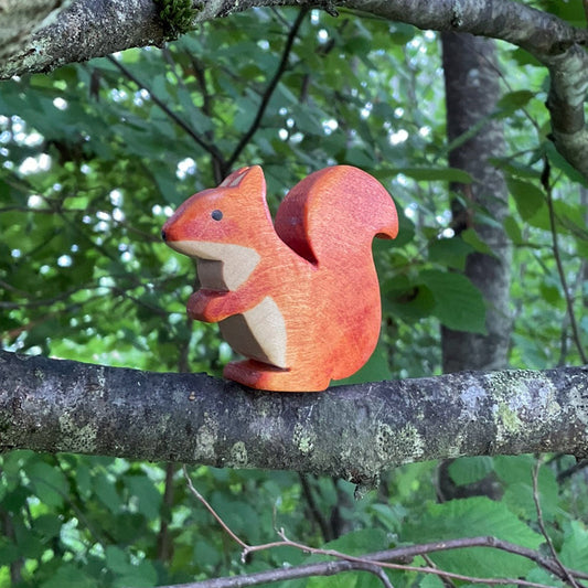 Eichhörnchen weiblich braun sitzend
