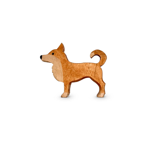 Hund Rüde hellbraun Amo stehend