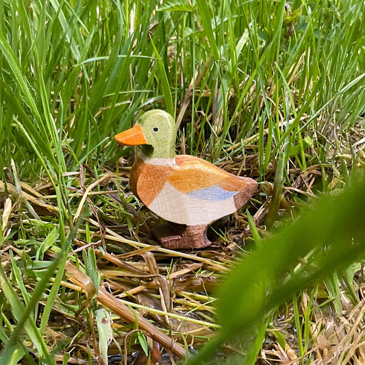 Ente Erpel braun stehend