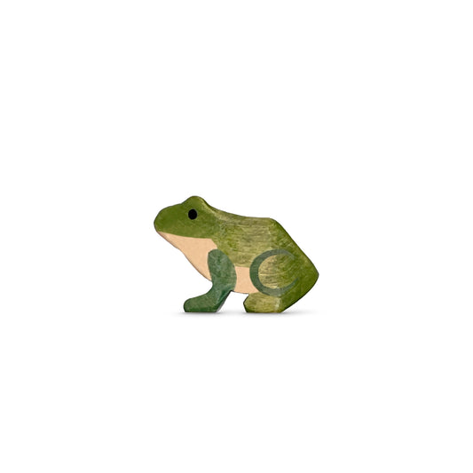 Frosch Weibchen